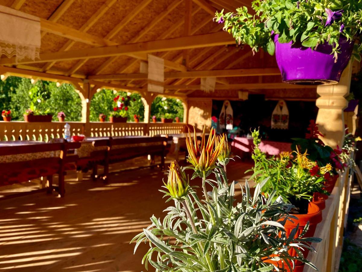 Floare De Maramures 2 ซิกเกตู มาร์มาซีเอ ภายนอก รูปภาพ