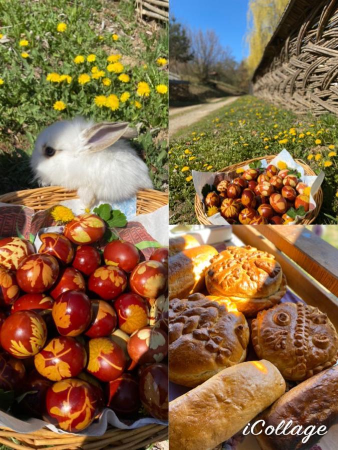 Floare De Maramures 2 ซิกเกตู มาร์มาซีเอ ภายนอก รูปภาพ